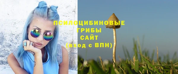 прущие грибы Верея