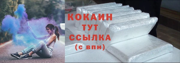 прущие грибы Верея