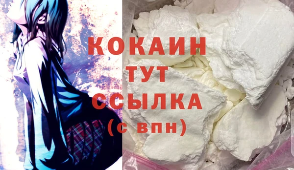 прущие грибы Верея