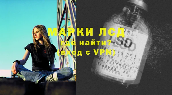 прущие грибы Верея