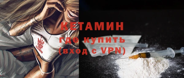 прущие грибы Верея