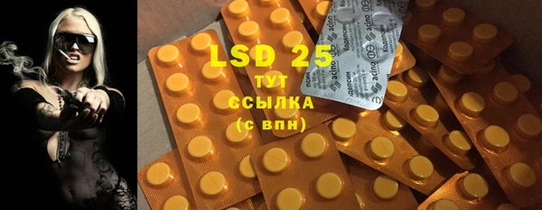 прущие грибы Верея